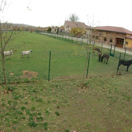 Bungalows Granja Escuela Arlanzon Екстер'єр фото