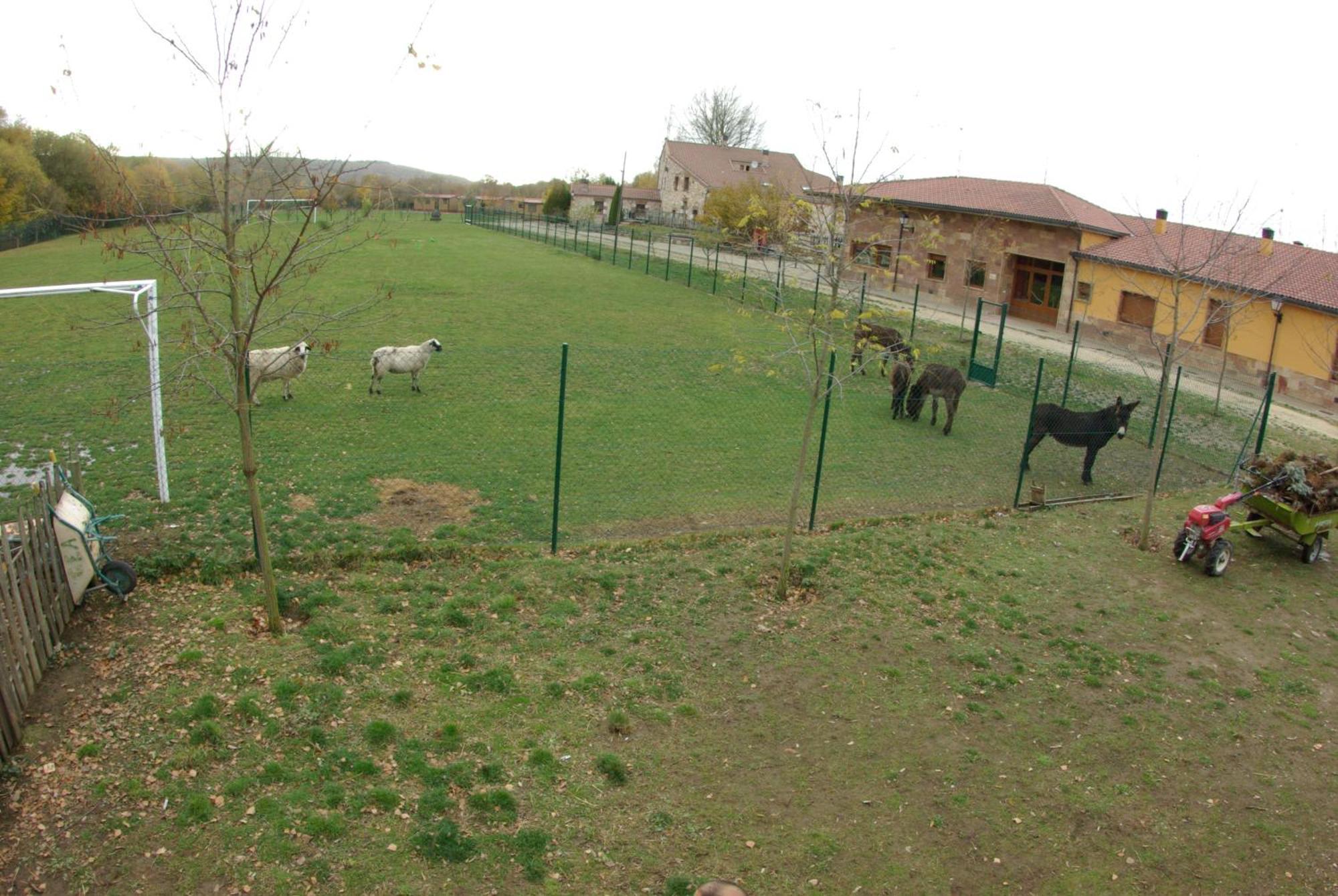 Bungalows Granja Escuela Arlanzon Екстер'єр фото